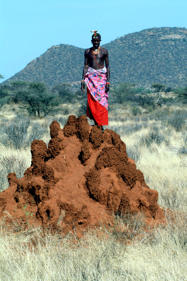 Samburu krijger op termietenheuvel