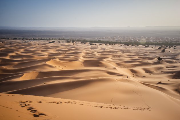 De kracht van de woestijn
