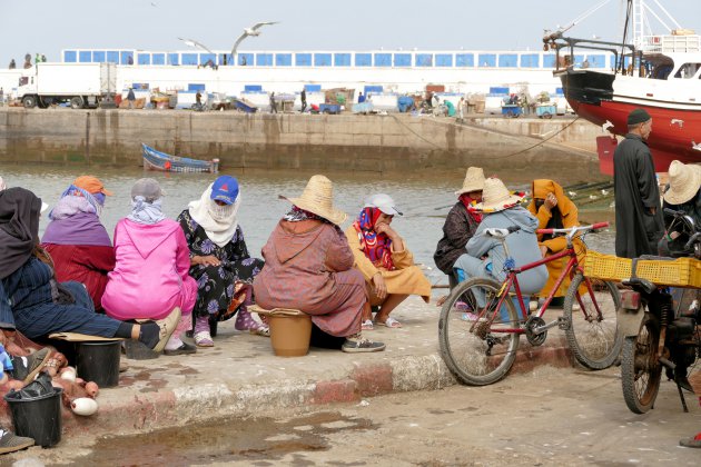 Bij de haven van Essaouira.