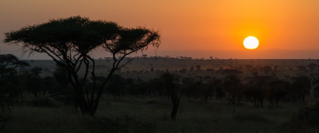 De zon gaat onder in Serengeti