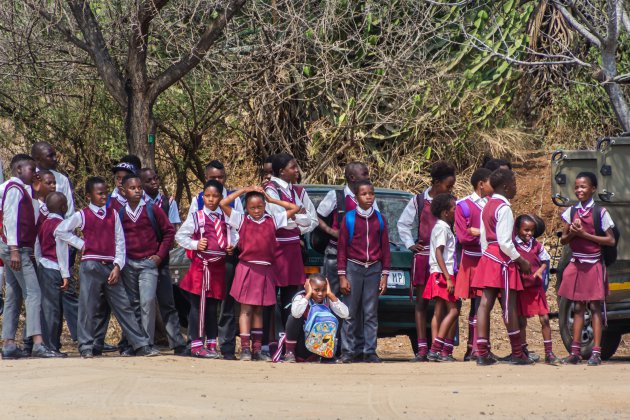 Schoolreis naar het Krugerpark