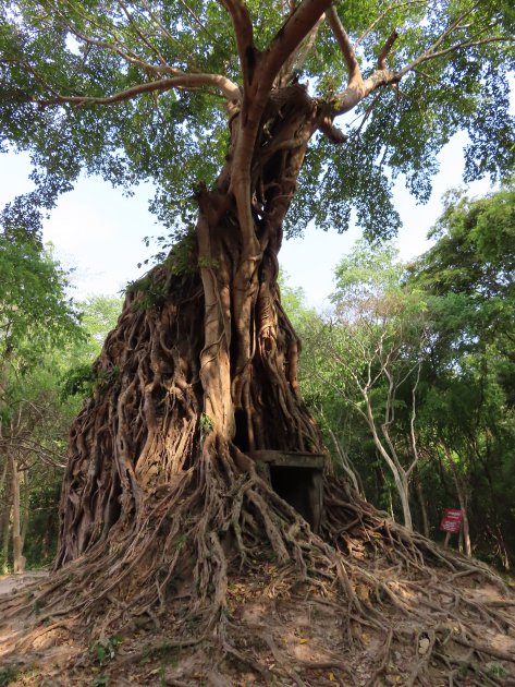 Het niet-toeristische alternatief voor Angkor Wat