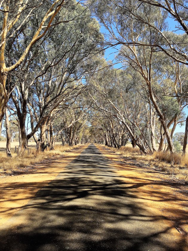 South Australia highway