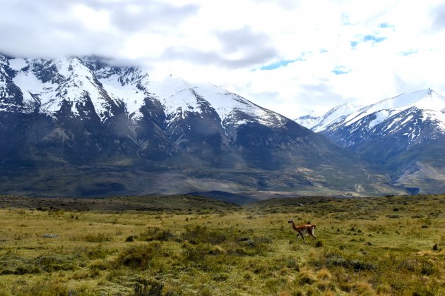 Ongerepte natuur in Patagonië
