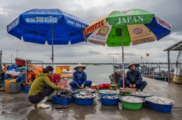 Bezoek de vismarkt in Duy Hai