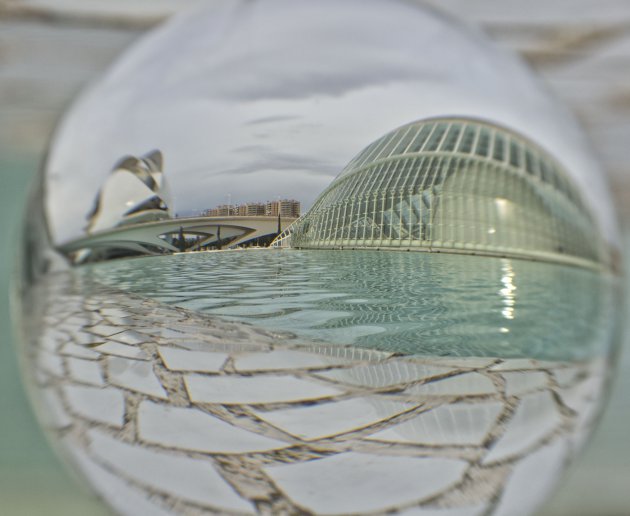Reflections of the City of Arts and Sciences
