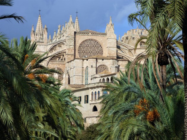 Kathedraal Santa María in Palma de Mallorca