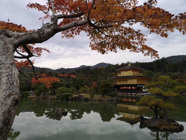 Mooiste tempel in Kyoto!