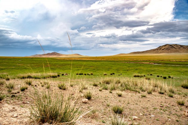 Mongoolse landschappen