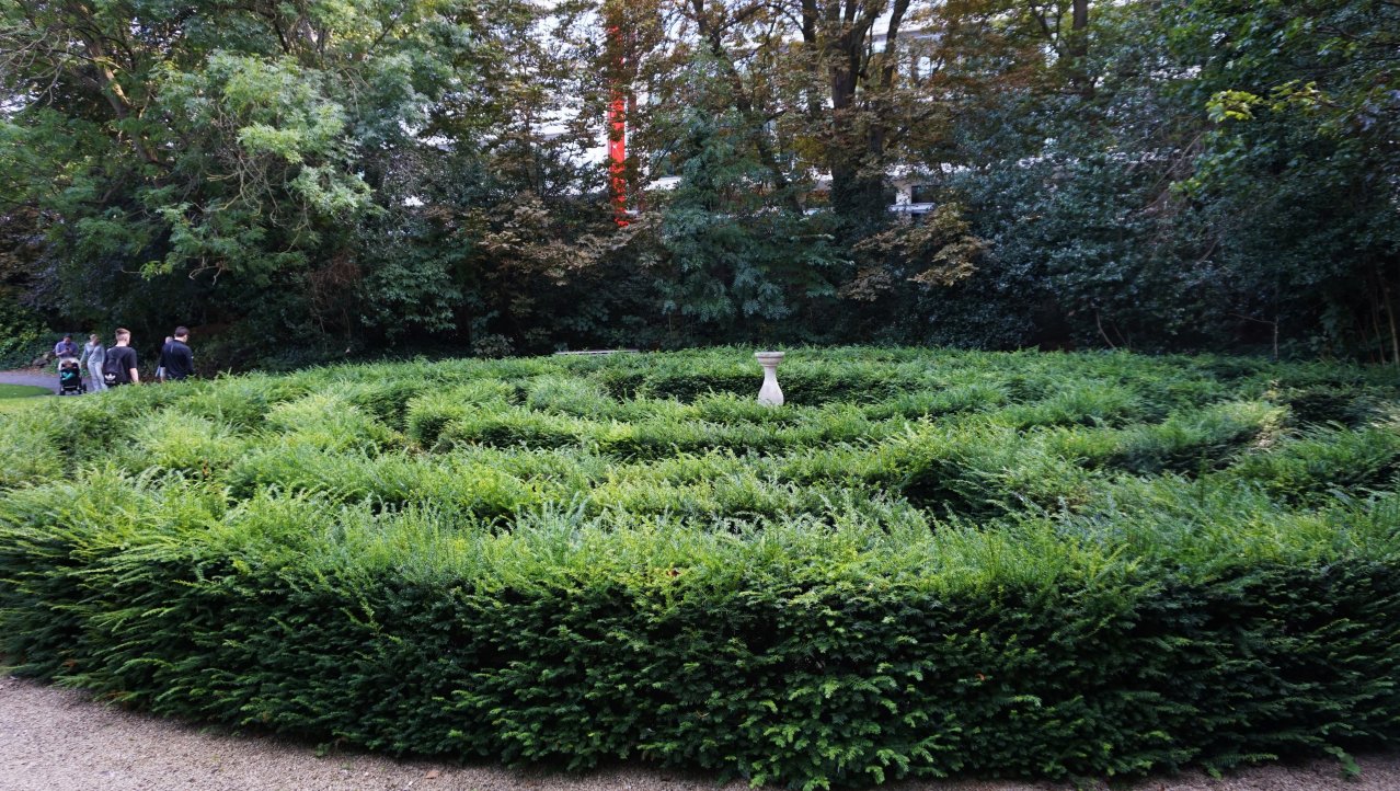 labyrint The Iveagh Gardens