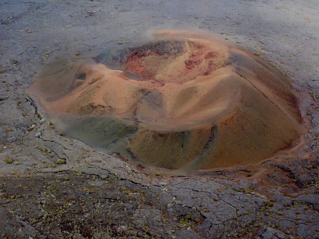 Krater Formica Leo