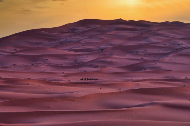 Trekken door de woestijn