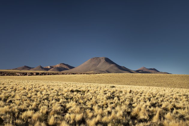 San Pedro de Atacama (Chili)  hoogvlakte