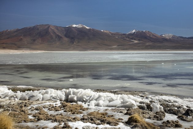 Laguna Blanca Bolivia (Altiplano)