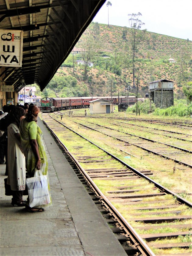 Treinrit door Sri Lanka.
