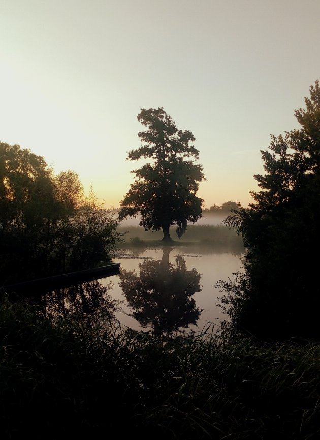 ochtend in de polder