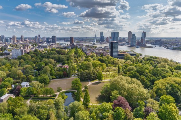 Rotterdam vanaf de Euromast