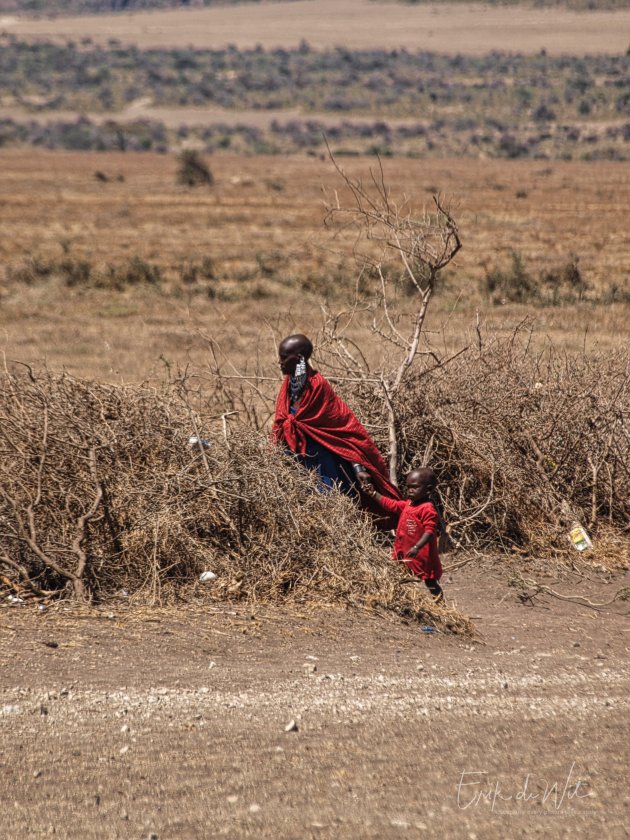 Het dagelijkse leven van de Masai