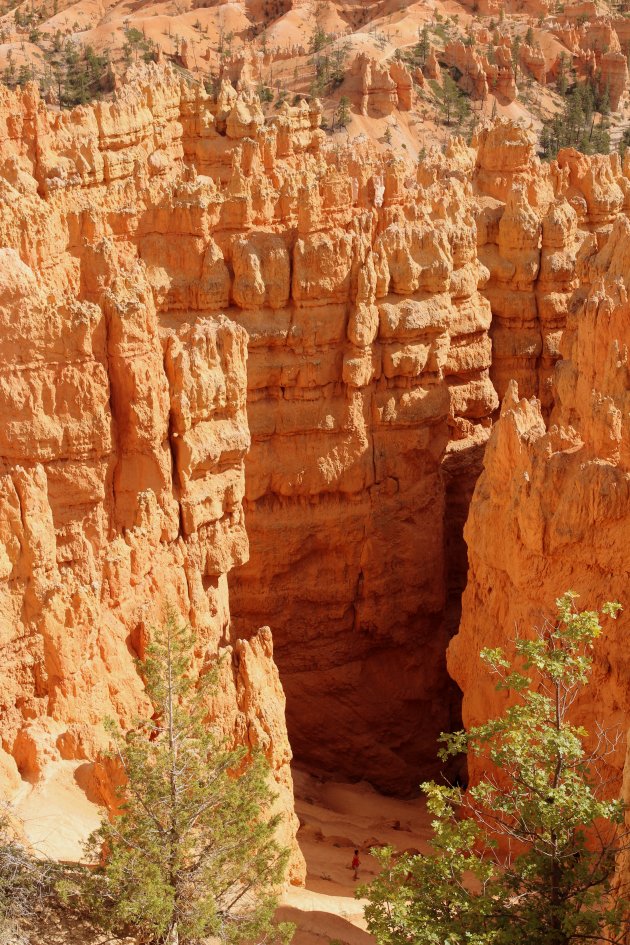 de Navajo trail in Bryce Canyon