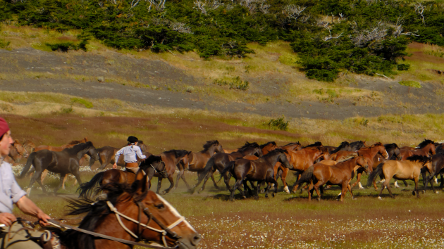 Ervaar het Gaucho leven in Patagonië