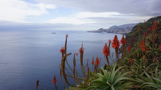 Madeira island