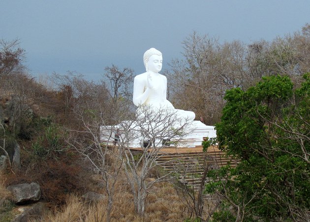 Boeddha op de berg