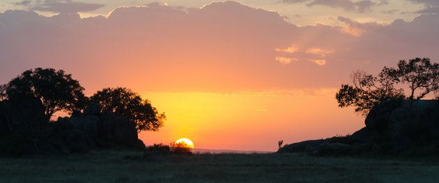 Zonsondergang in Serengeti