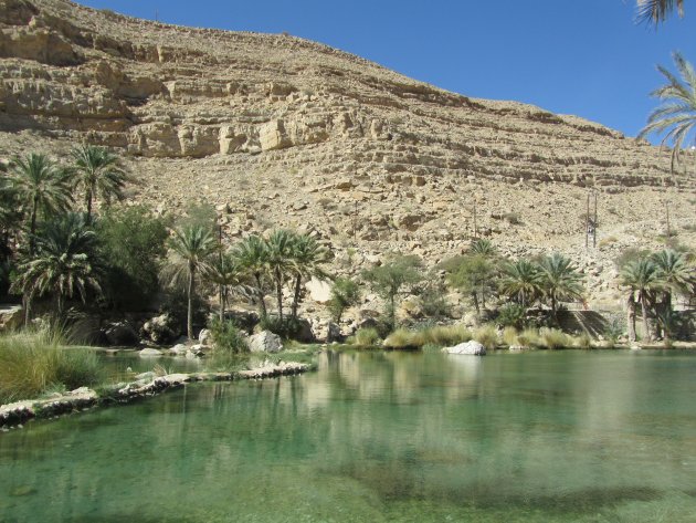 oase in Oman