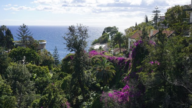 Madeira bloemeneiland