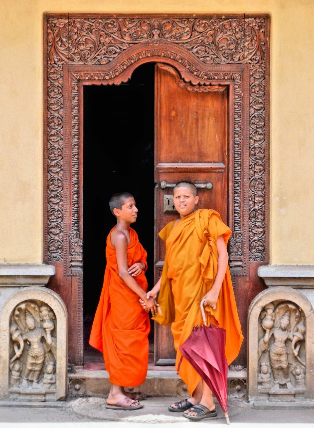 Jonge monniken