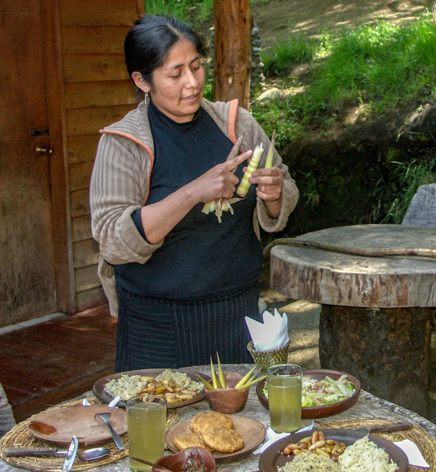 Traditioneel Mapuche eten