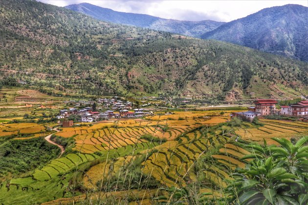 de rijstkamer van Bhutan