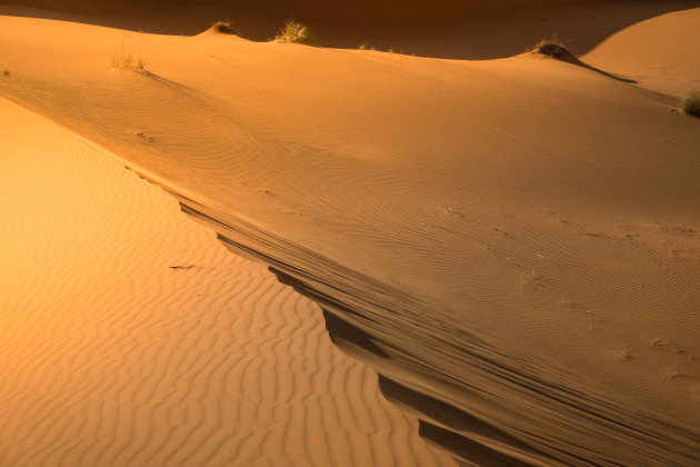 De schoonheid van de Sahara