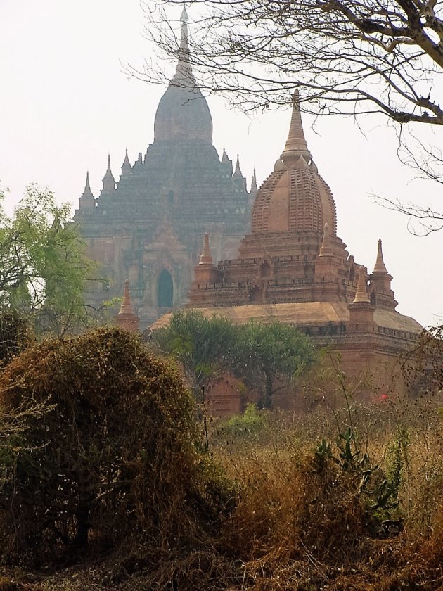 Oude Tempels in Bagan.