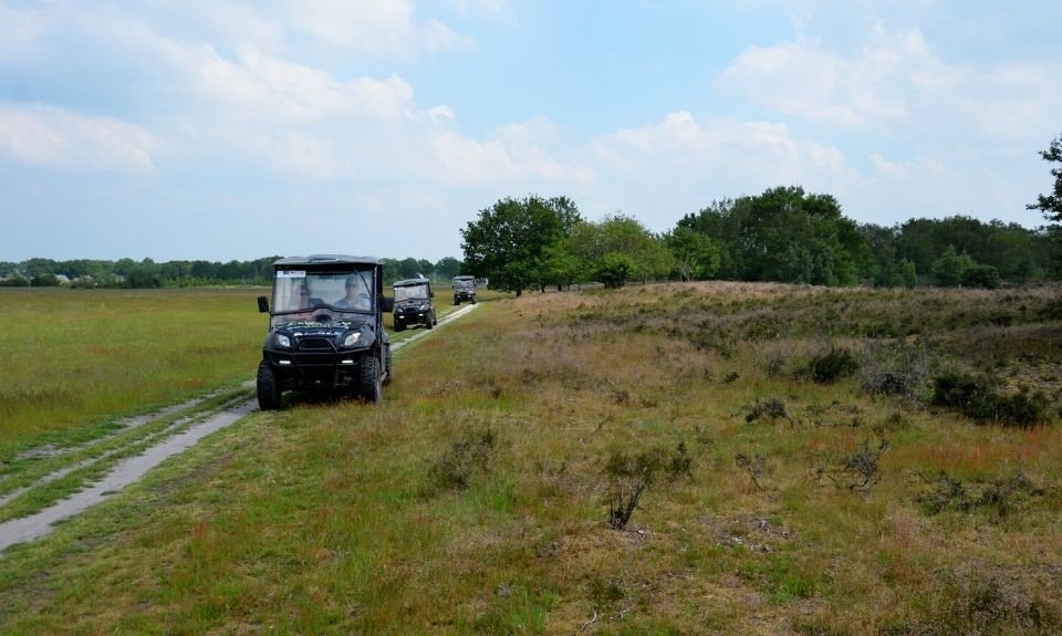 Op safari in Nederland: hunebedden en wild spotten in Drenthe image