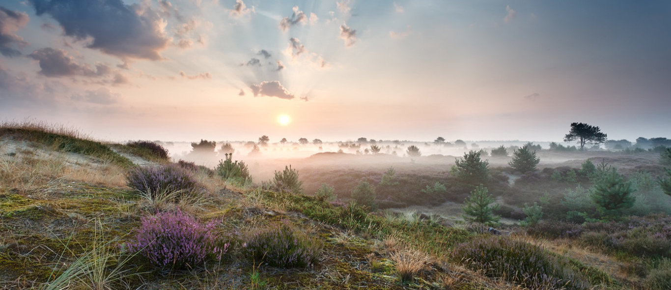 Dit zijn de 11 mooiste plekjes van Noord-Nederland ver van de massa image