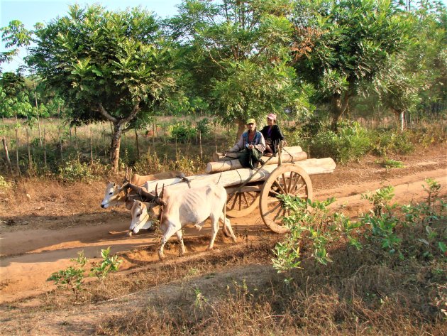 Bomen transport in Birma