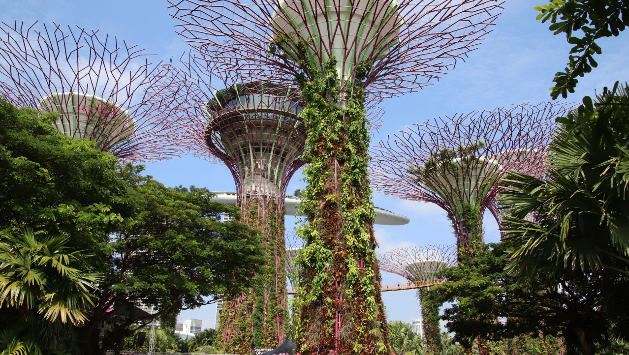 Super Trees Gardens by the bay