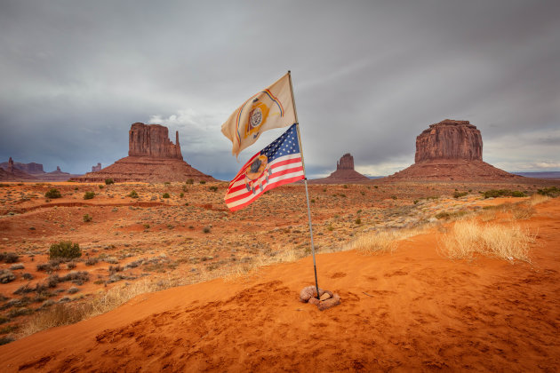 Vlag van de Navajo