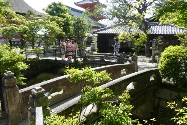 Shoots bij Kiyomizu-dera