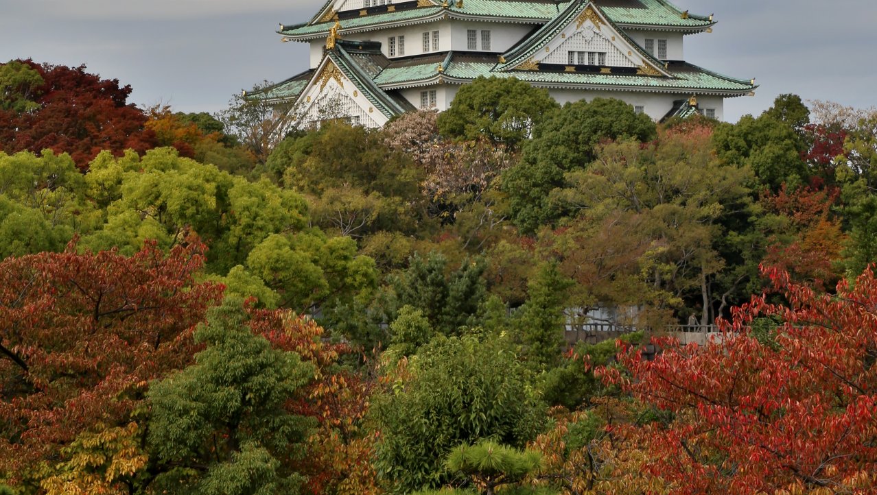 Herfstig kasteel van Osaka