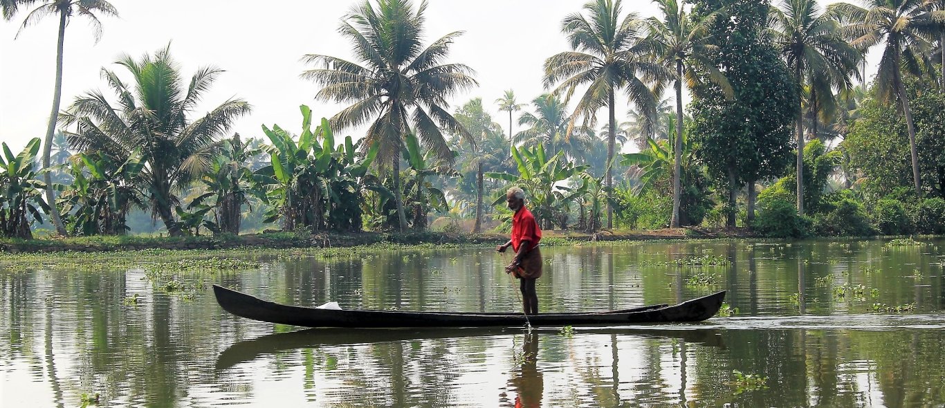 Backwaters Van Kerala image