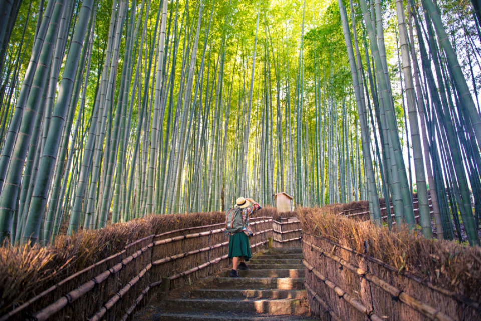 Bamboebos bij Adashino Nenbetsujitempel