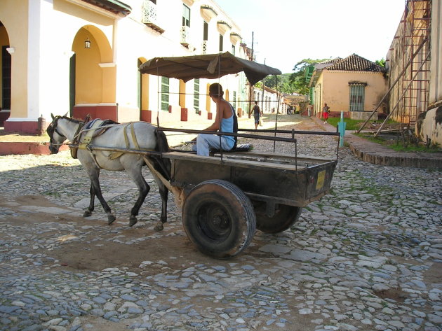Paard en wagen in Trinidad.
