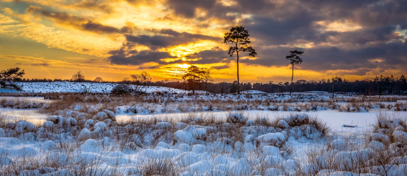 De mooiste sneeuwlandschappen in Nederland: hier moet je zijn image