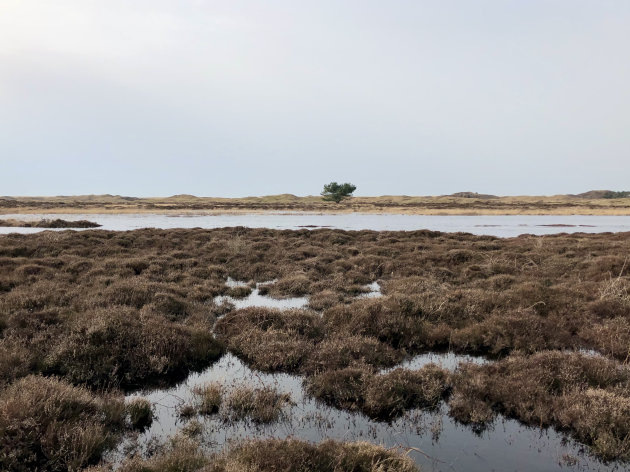 Nationaal Park 'Duinen van Texel'