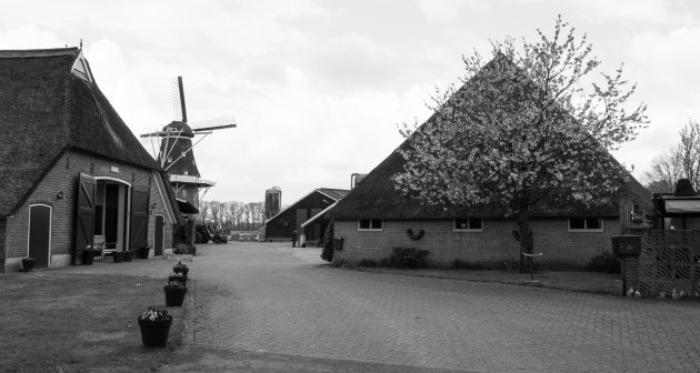 Nederlands boerenleven