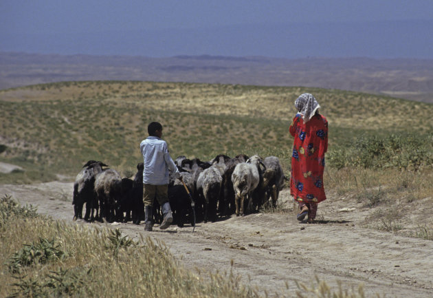 Jonge herders in Centraal Tadzjikistan