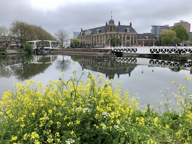 Lente in Utrecht