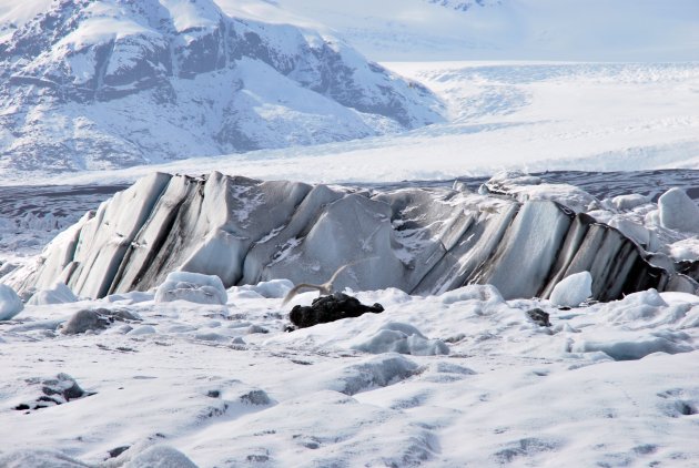 Gletsjermeer Jökulsárlón